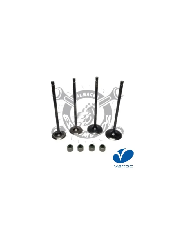 KIT VALVULAS 200NS VARROC